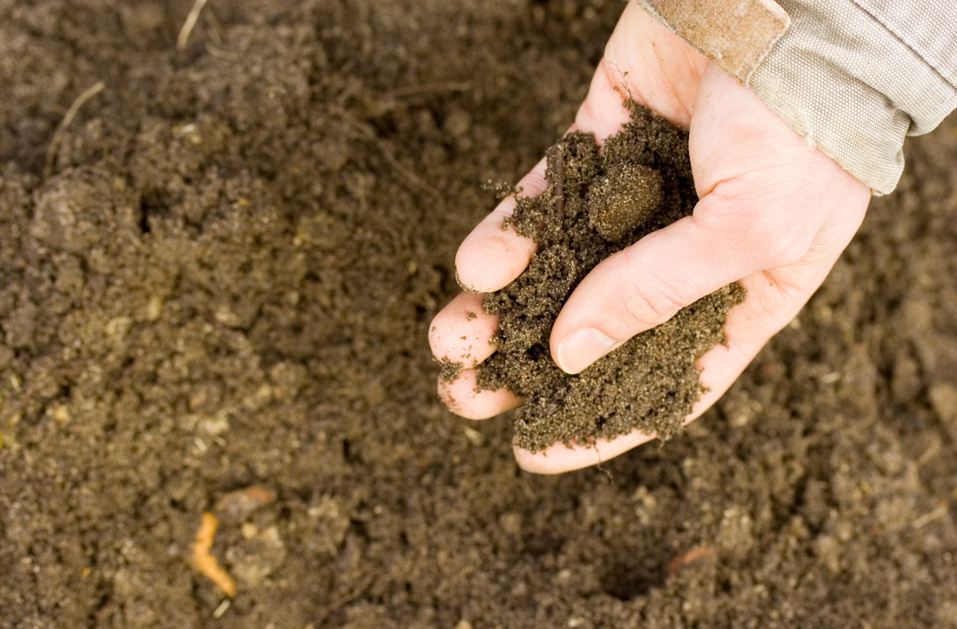 Contaminated Soil Hazards: The Importance of Soil Testing and Remediation